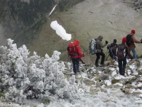 photo coins arrondis