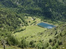 photo coins arrondis