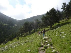 photo coins arrondis