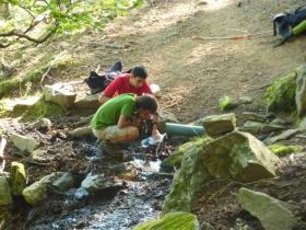 photo coins arrondis