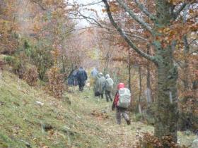 photo coins arrondis