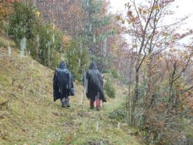 photo coins arrondis