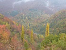 photo coins arrondis