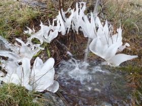 photo coins arrondis