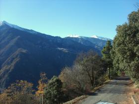 photo coins arrondis