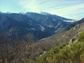 photo coins arrondis