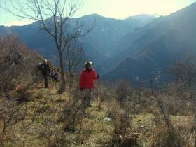 photo coins arrondis