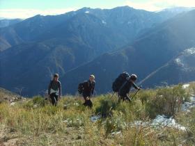 photo coins arrondis