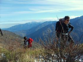 photo coins arrondis