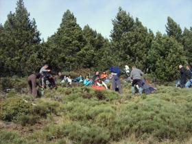 photo coins arrondis