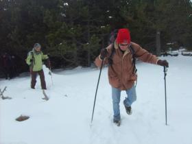 photo coins arrondis