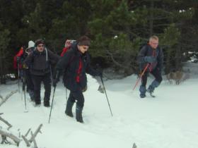 photo coins arrondis