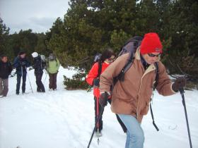 photo coins arrondis