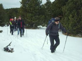 photo coins arrondis