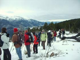 photo coins arrondis