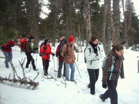 photo coins arrondis