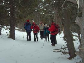 photo coins arrondis