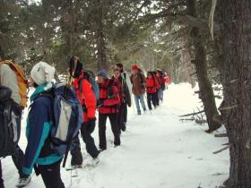 photo coins arrondis