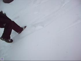 photo coins arrondis