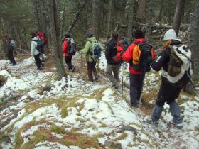 photo coins arrondis