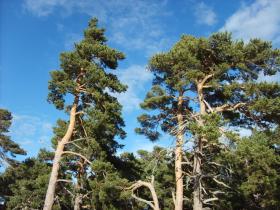 photo coins arrondis