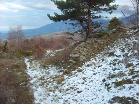 photo coins arrondis