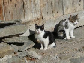 photo coins arrondis