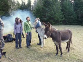 photo coins arrondis