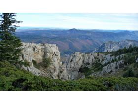 photo coins arrondis