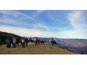 photo coins arrondis