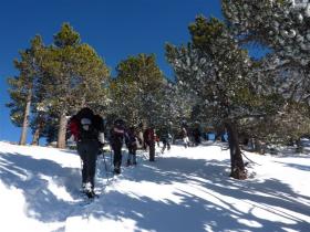 photo coins arrondis