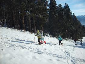 photo coins arrondis