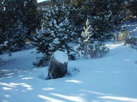 photo coins arrondis