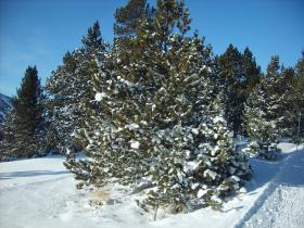 photo coins arrondis