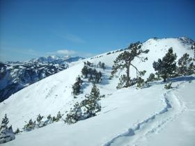 photo coins arrondis