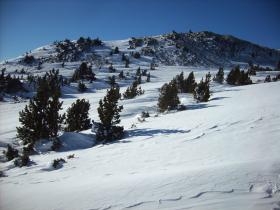 photo coins arrondis