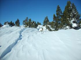 photo coins arrondis