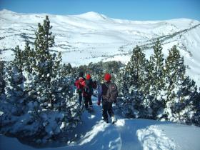 photo coins arrondis