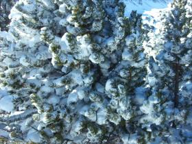 photo coins arrondis