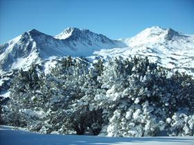 photo coins arrondis