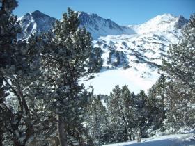 photo coins arrondis