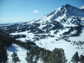 photo coins arrondis