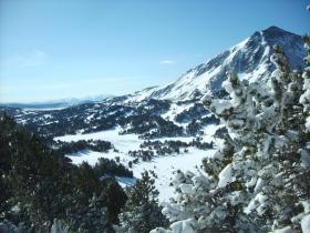 photo coins arrondis