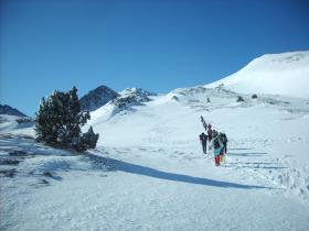 photo coins arrondis