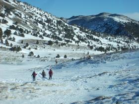 photo coins arrondis