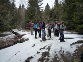 photo coins arrondis