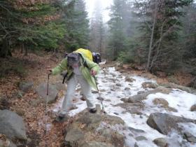 photo coins arrondis