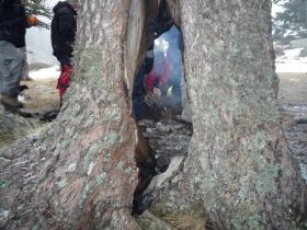 photo coins arrondis