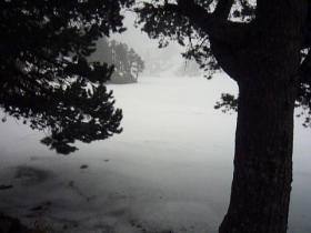 photo coins arrondis