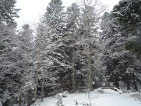 photo coins arrondis